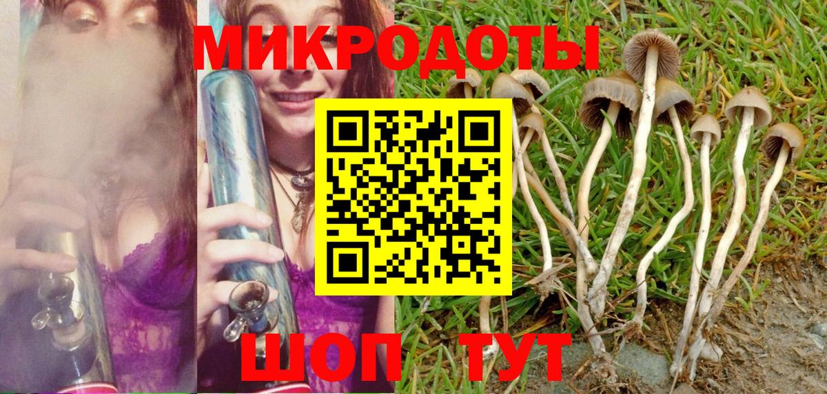 Скопин  Псилоцибиновые грибы Magic Shrooms  Вход с VPN 
